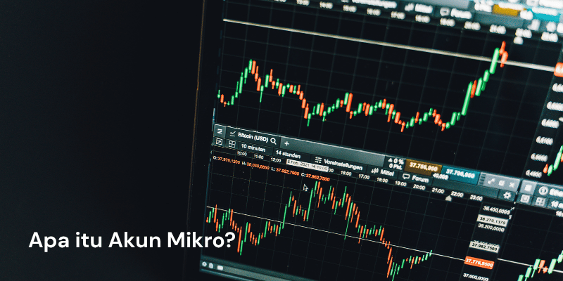 apa itu akun mikro - ultima markets